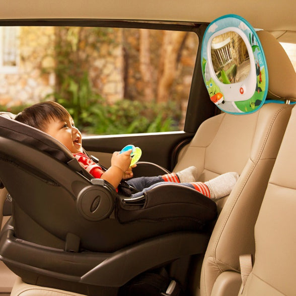 Brica shops baby mirror with remote